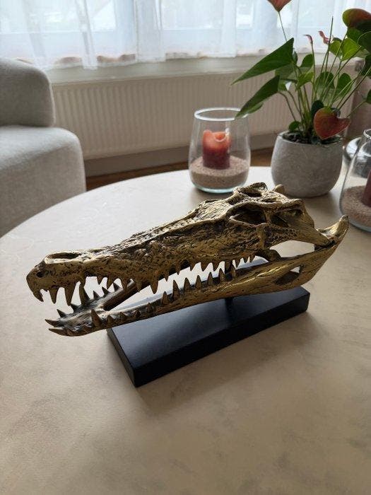 Jake Richmond (XX) - Saltwater Crocodile Skull 2.0, Antiquités & Art, Art | Objets design