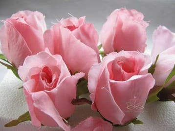 Zijden Roosjes Hot Pink Roze 5-6 cm 10 stuks, Nieuw