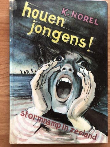 Houen jongens 9789026642784 K. Norel, Boeken, Verzenden, Gelezen, K. Norel