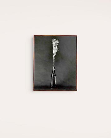 Tenmi HANAGI - FLEURISME-Glycine Max-gelatin silver