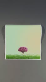 Téber - High Society (Apple)