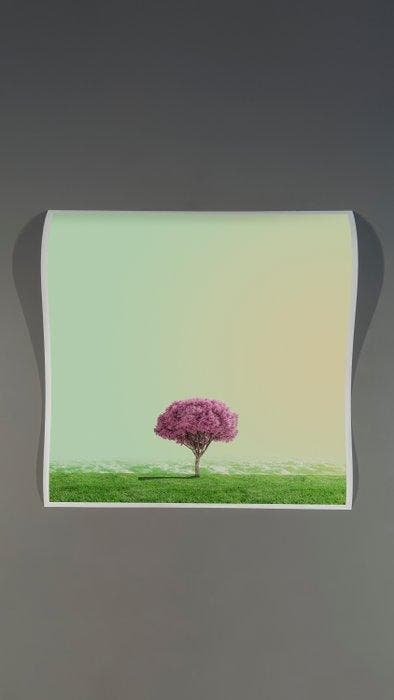 Téber - High Society (Apple), Antiek en Kunst, Kunst | Designobjecten