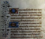 Médiéval Manuscrit du XVe siècle sur parchemin - 300 mm