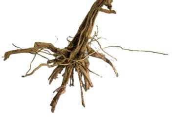 Driftwood Selected DW40 - 40x40x32cm (Small drift wood), Ophalen of Verzenden, Nieuw, Plant(en), Steen of Hout