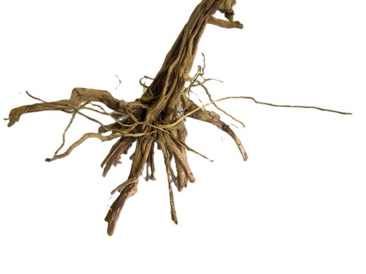 Driftwood Selected DW40 - 40x40x32cm (Small drift wood), Animaux & Accessoires, Poissons | Aquariums & Accessoires, Enlèvement ou Envoi
