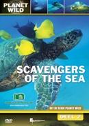 Scavengers of the sea op DVD, Verzenden, Nieuw in verpakking