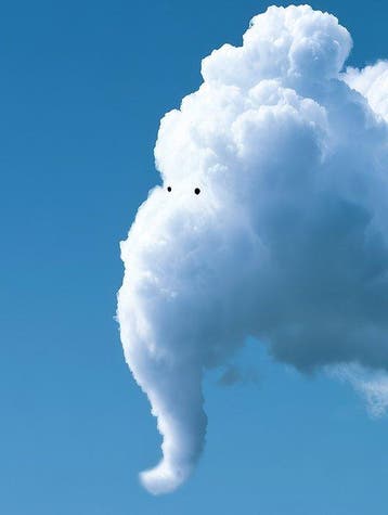 David Law - Magic Clouds - The Elephant