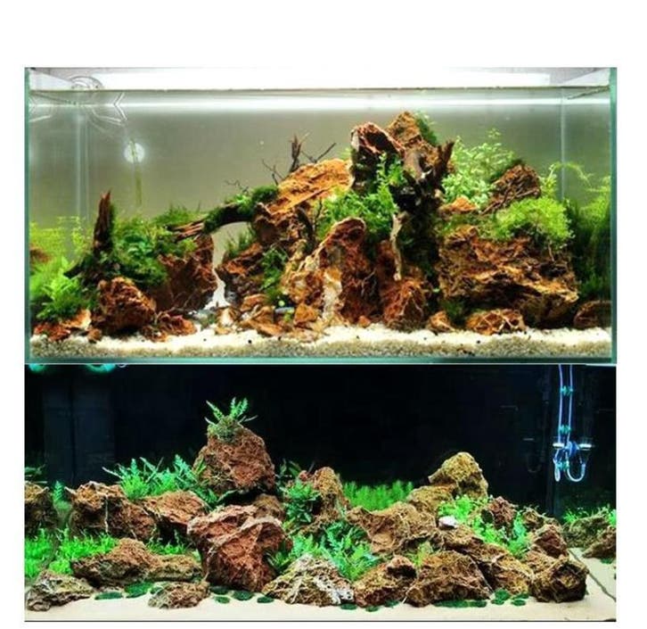 Maple Leaf stone 10-20cm - aquarium decoratie stenen, Animaux & Accessoires, Poissons | Aquariums & Accessoires, Envoi