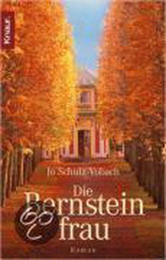 Die Bernsteinfrau 9783426632444 Jo Schulz-Vobach, Livres, Langue | Allemand, Envoi