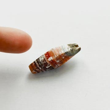 Zijderoute, Centraal-Aziatisch Natuurlijke bandagaat