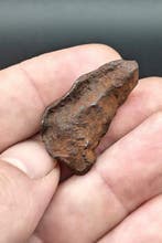 Gebel Kamil meteoriet IJzer meteoriet - Hoogte: 3.2 cm -, Verzamelen, Mineralen en Fossielen