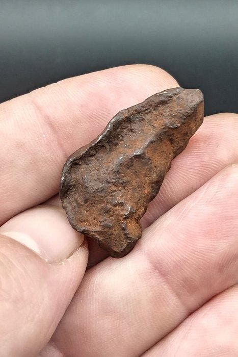 Gebel Kamil meteoriet IJzer meteoriet - Hoogte: 3.2 cm -, Verzamelen, Mineralen en Fossielen