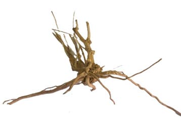 Driftwood Selected DW5 - 55x35x16cm (Small drift wood), Ophalen of Verzenden, Nieuw, Plant(en), Steen of Hout