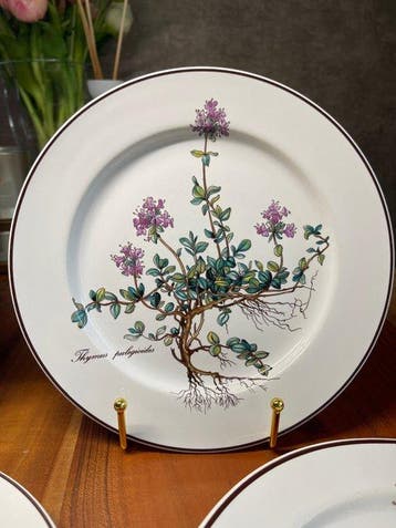Villeroy & Boch - Eetservies - Botanica - Porselein -