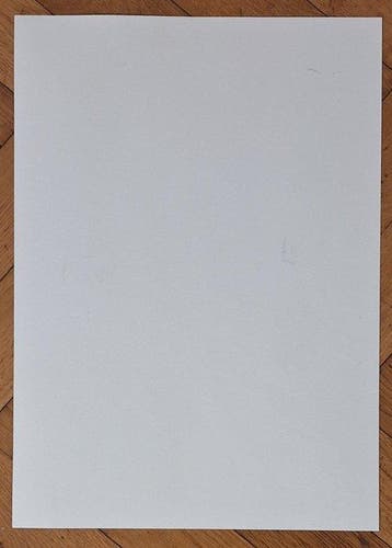 Emma Wildfang Colour pencil drawing - Pink Panther -