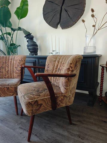 Fauteuil - Coton, Bois - Ensemble de fauteuils lounge de, Antiquités & Art