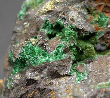 Malachite Cristaux sur matrice - Hauteur : 4 cm - Largeur :