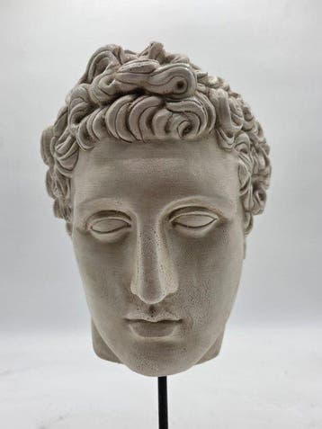 sculptuur, Testa di Eros - 33 cm - marmerpoeder