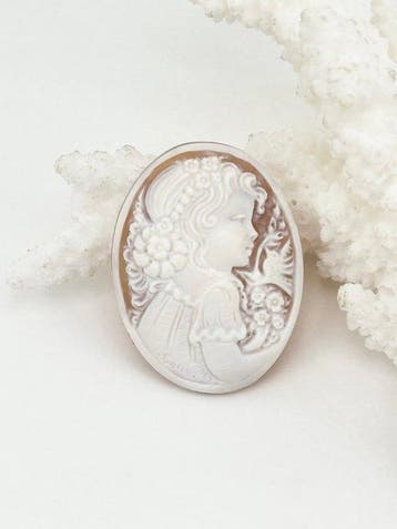 Zonder reserveprijs Cassis madagascariensis - Cameo -