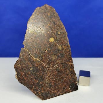 -Des centaines de chondrules! -Incroyable météorite