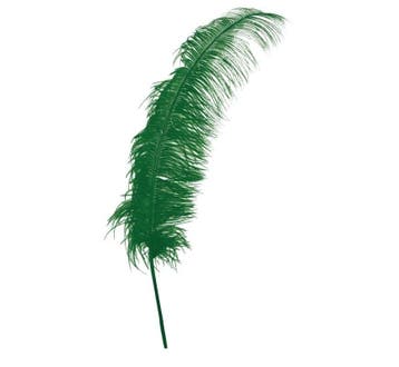 Groene Struisvogelveren 50cm 12st, Verzenden, Nieuw