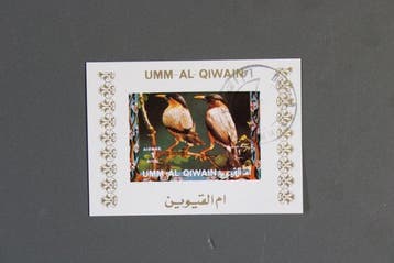 Émirats arabes unis - Affichage deluxe de blocs : plus de, Gestempeld