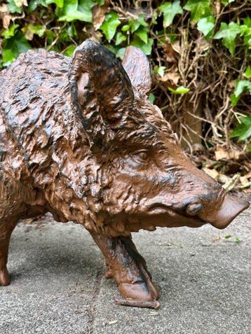 No reserve-Groot en zwaar beeld van een Wild Zwijn