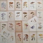 Claude Casimir Gillet (1806-1896) - Lot. of 26 tavole Les