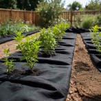 vidaXL Geotextielmembraan 1x10 m polyestervezel zwart, Verzenden, Nieuw