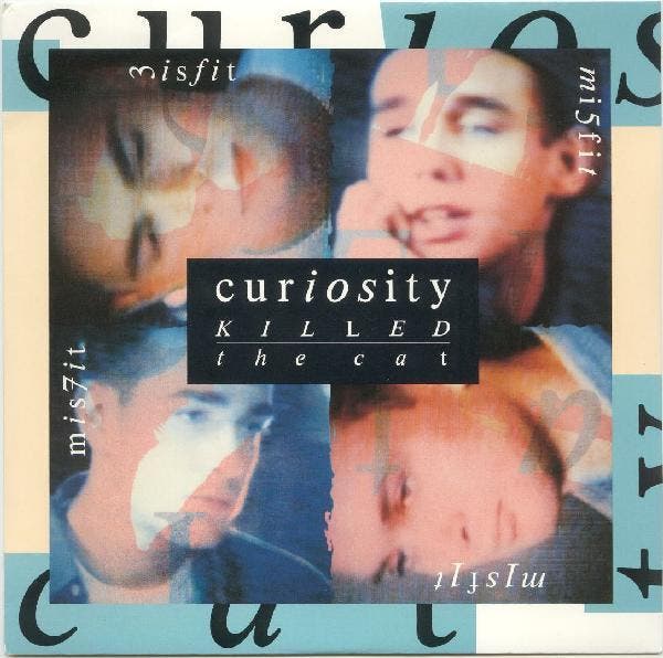 Curiosity Killed The Cat - Misfit, CD & DVD, Vinyles | Pop, Envoi