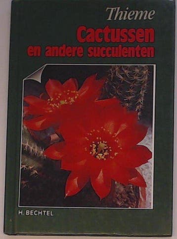 CACTUSSEN EN ANDERE SUCCULENTEN / Bloemen en planten Bechtel, Verzenden, Bechtel