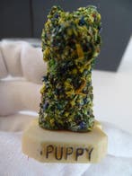 Jeff Koons (1955) - sculptuur, Flower Puppy for Guggenheim