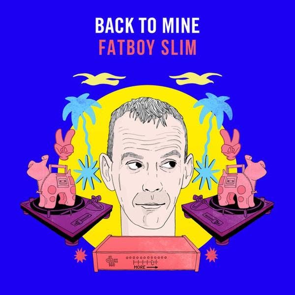 Fatboy Slim - Back To Mine, Cd's en Dvd's, Cd's | Pop, Gebruikt, Verzenden