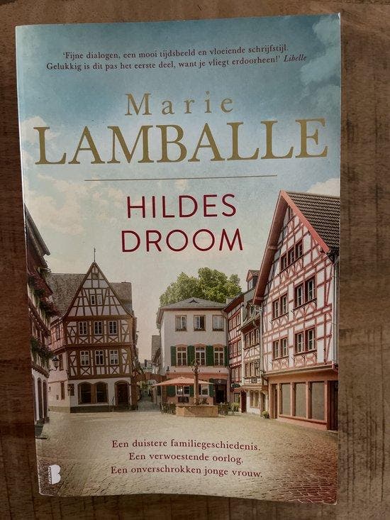 Hildes droom 9789049201678 Marie Lamballe, Boeken, Romans, Zo goed als nieuw, Verzenden