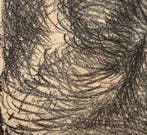 Roberto Barni (1939) - Senza Titolo