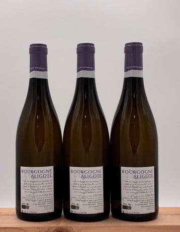 2022 Agnès Paquet Le Clou et la Plume - Bourgogne Aligoté, Nieuw