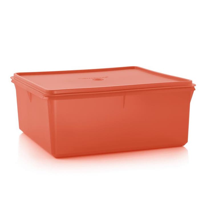 Tupperware Wafeldoos 10 l, Huis en Inrichting, Keuken | Tupperware, Nieuw, Verzenden