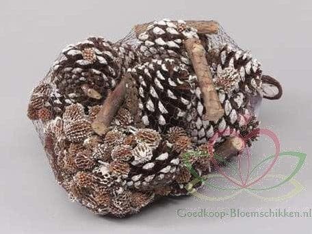 Dennenappels Forest mix White Tip Net 500 gram, Huis en Inrichting, Woonaccessoires | Kunstplanten en Kunstbloemen, Nieuw