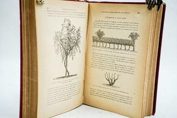 Gustave Foëx - Cours complet de viticulture - 1891