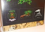 Lego - 10281 - Lego Creator Expert - Drzewko Bonsai -, Nieuw