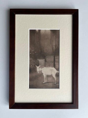 Jan Mankes (1889-1920) - Oude geit, Antiek en Kunst