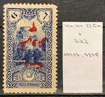 Turquie - 1920, 3 Pia./6 pa. « surcharge inversée rouge », Gestempeld