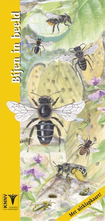 Bijen in beeld / In beeld / 27 9789050114042 Kees de Heer, Boeken, Verzenden, Gelezen, Kees de Heer