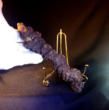 254 g fossiele uitwerpselen (coproliet) van een dinosaurus