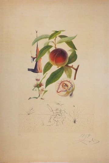 Salvador Dali (1904-1989) - Flordali, Pécheur Pénitent