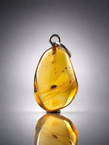 Echt Baltisch amber hanger – Prachtig bewaard