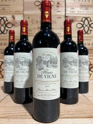 2015 Château La Fleur de Vigne - Saint-Émilion Grand Cru - 6, Nieuw