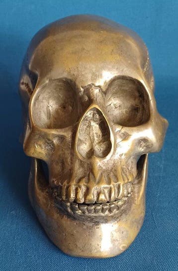 Een uniek stuk Schedel - Cranium (Homo sapiens) - 13 cm -