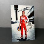 Ferrari - Formula 1 - Fernando Alonso - 2013 - Fankaart, Nieuw