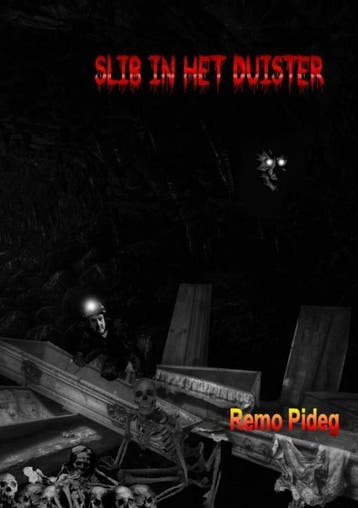 Slib in het duister 9789402165517 Remo Pideg, Verzenden, Zo goed als nieuw, Remo Pideg
